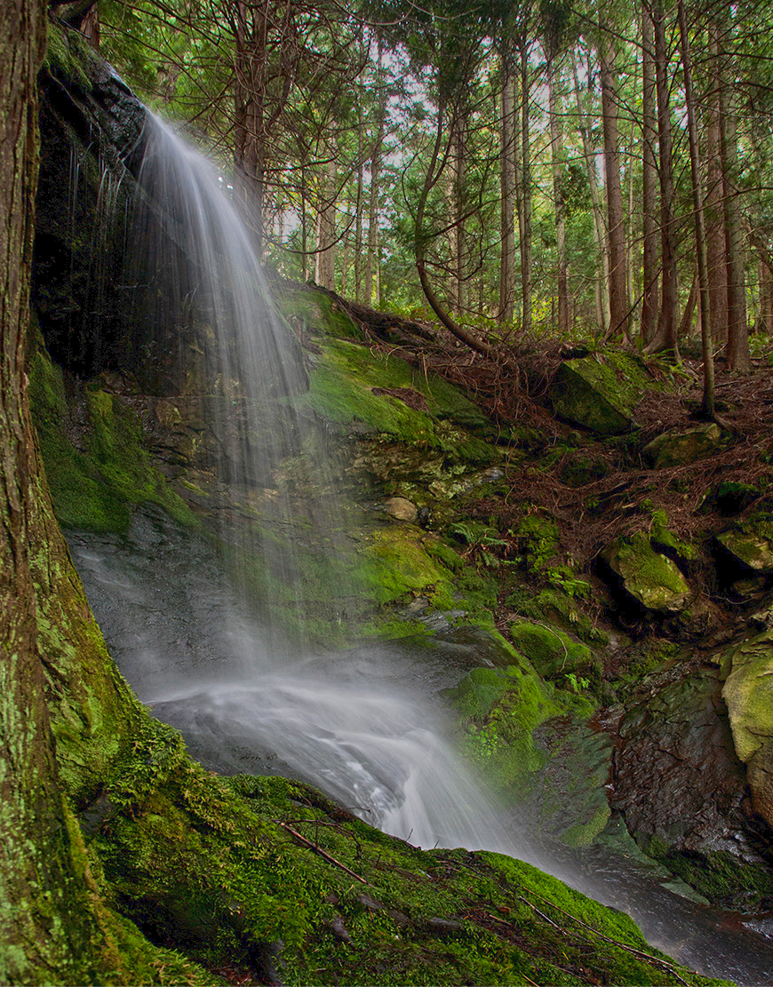 Misty Belllingham Falls